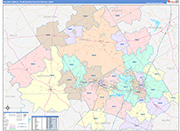 Killeen-Temple Metro Area Wall Map Color Cast Style